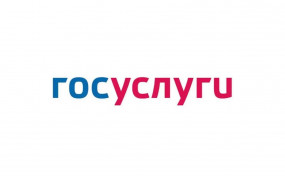Госуслуги в электронном виде Госуслуги в электронном виде