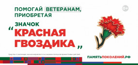 Ежегодная всероссийская акция помощи ветеранам «Красная гвоздика» стартует 10 апреля. Каждый житель Ивановской области может присоединиться!