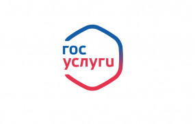 Подача заявлений через Госуслуги